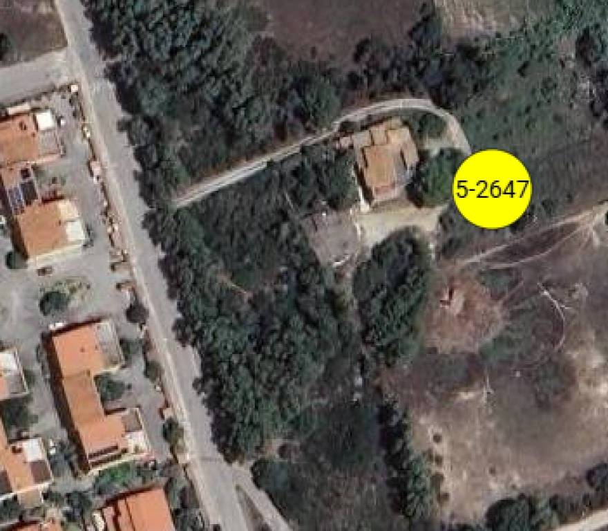 immagine annuncio 9 di 11