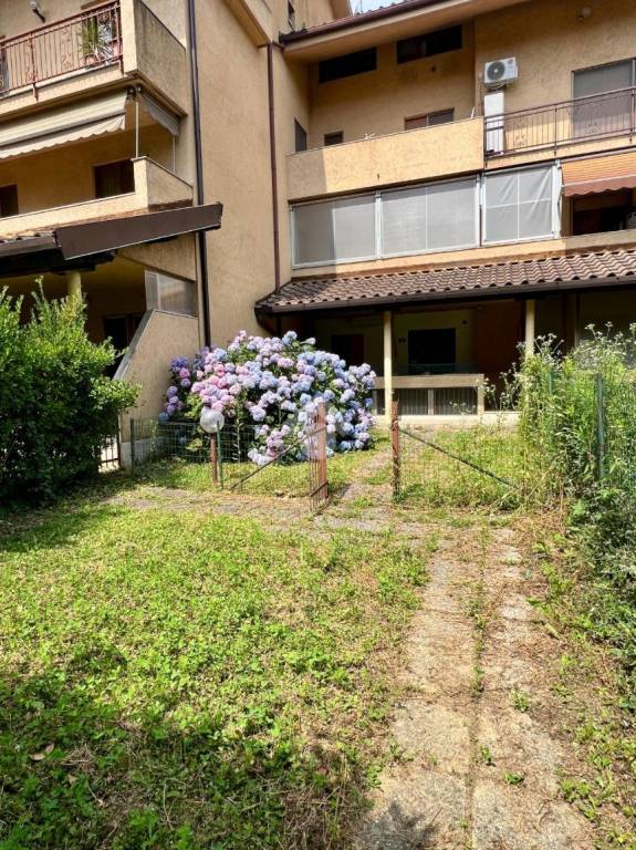 immagine annuncio 11 di 14