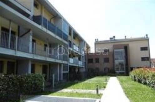 immagine annuncio 2 di 8