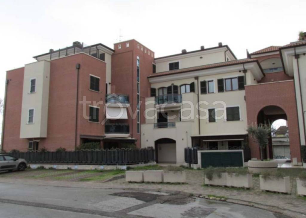 immagine annuncio 1 di 12