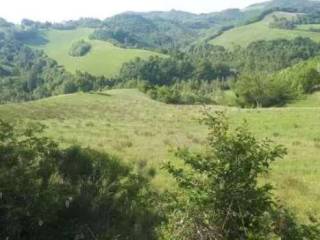 Terreno agricolo all'asta a urbino località maciolla