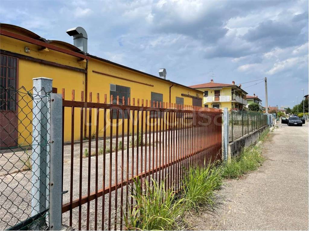immagine annuncio 6 di 8