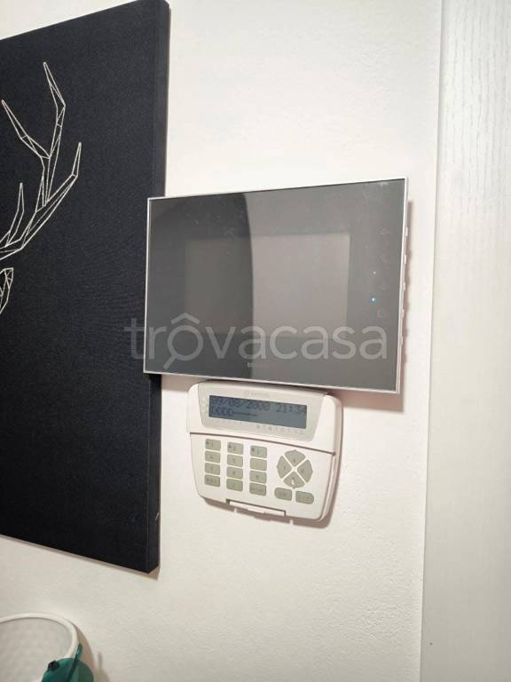 immagine annuncio 4 di 12