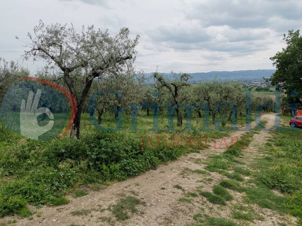terreno in vendita ad Assisi