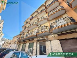 Appartamento in affitto a bisceglie via camere del capitolo