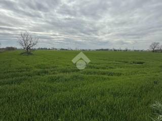 Terreno agricolo in vendita a cesenatico via cappona