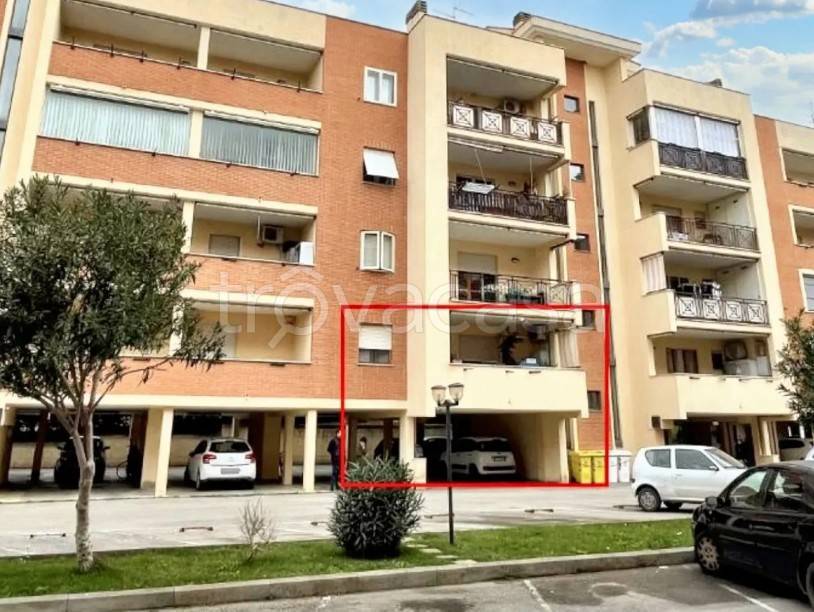 immagine annuncio 2 di 12