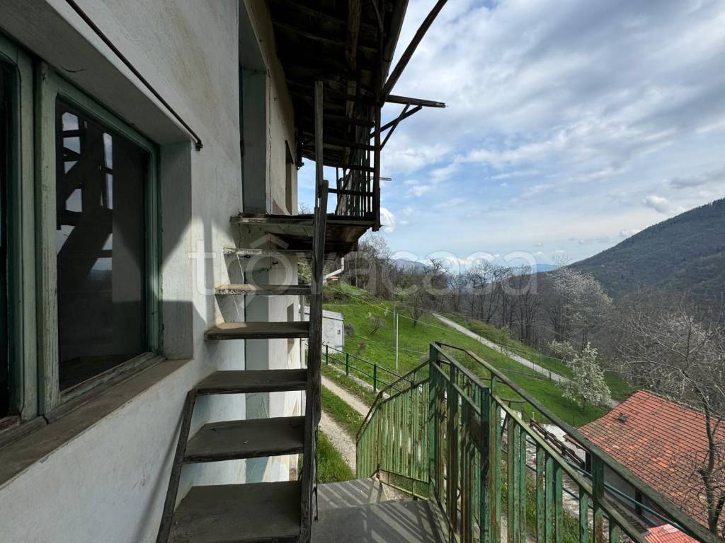 immagine annuncio 7 di 14