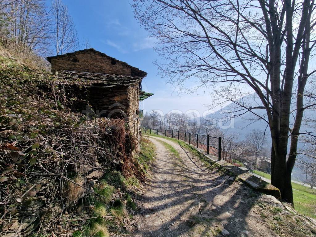 immagine annuncio 10 di 14