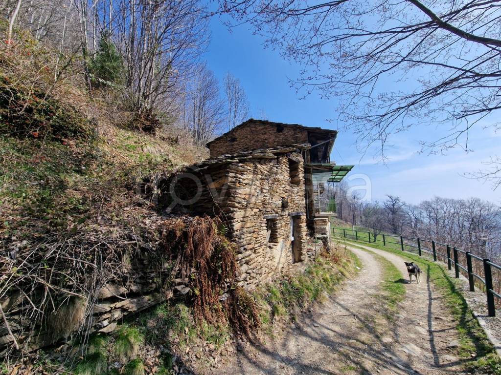 immagine annuncio 8 di 14