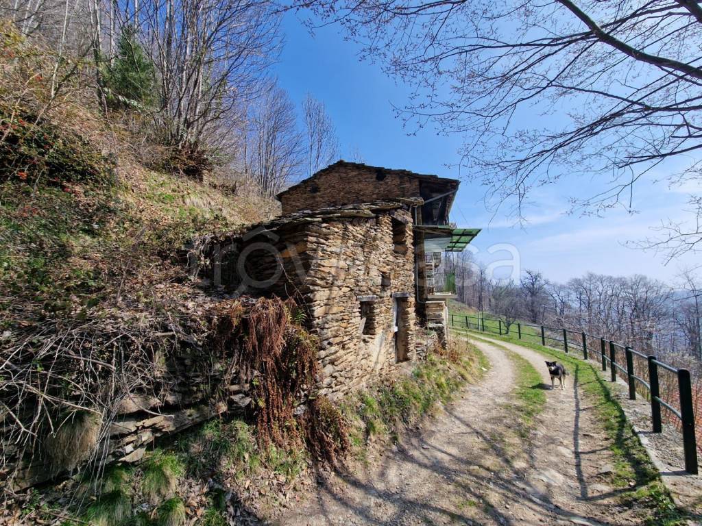 immagine annuncio 12 di 14