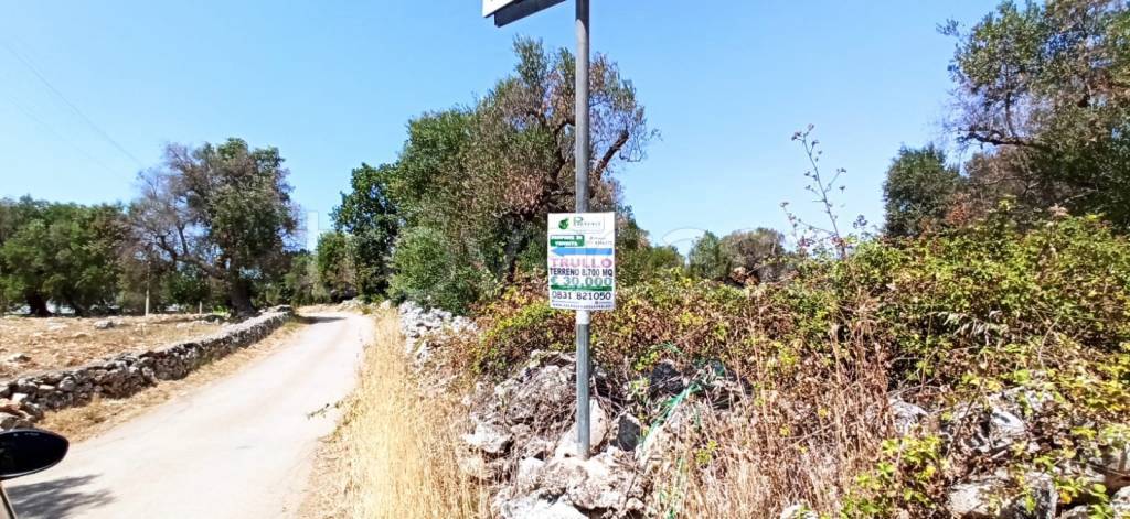 immagine annuncio 8 di 11