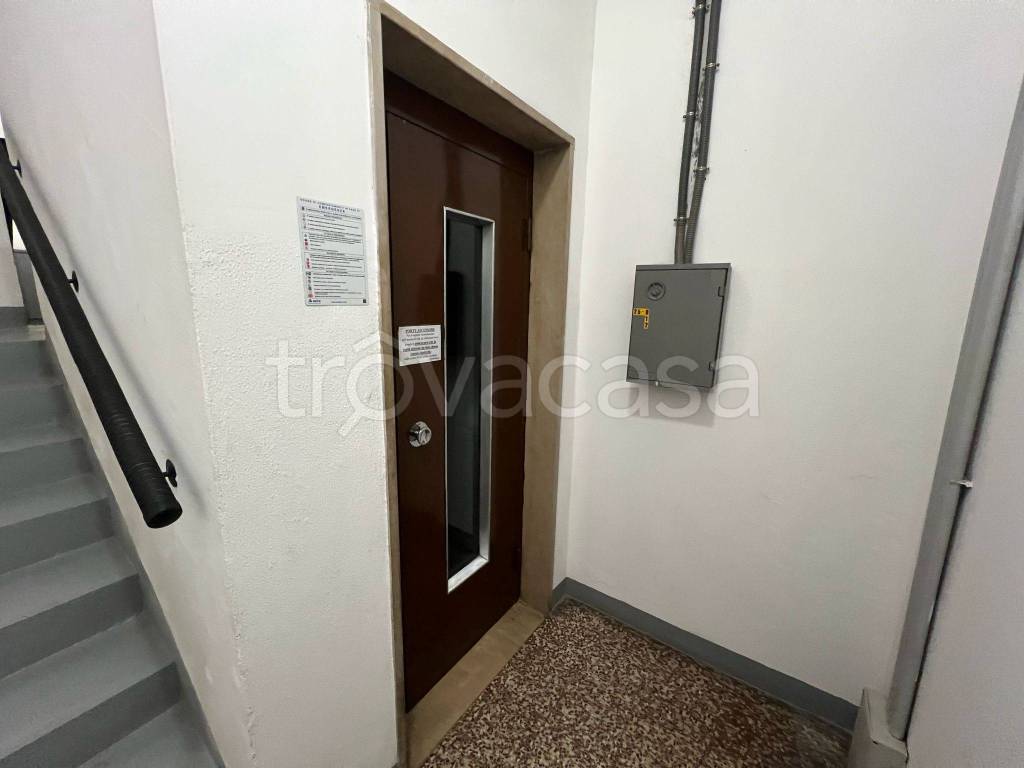 immagine annuncio 13 di 14