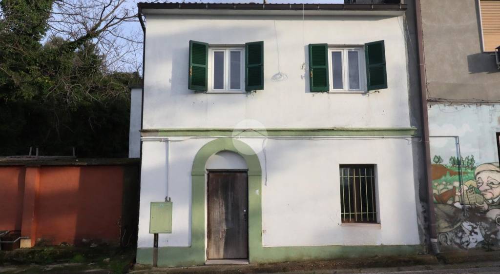 immagine annuncio 2 di 9