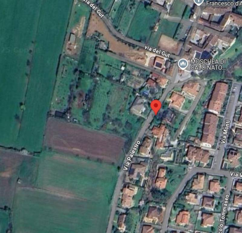 immagine annuncio 9 di 14