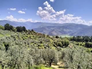 Terreno agricolo in vendita a terni strada dei mandrilli