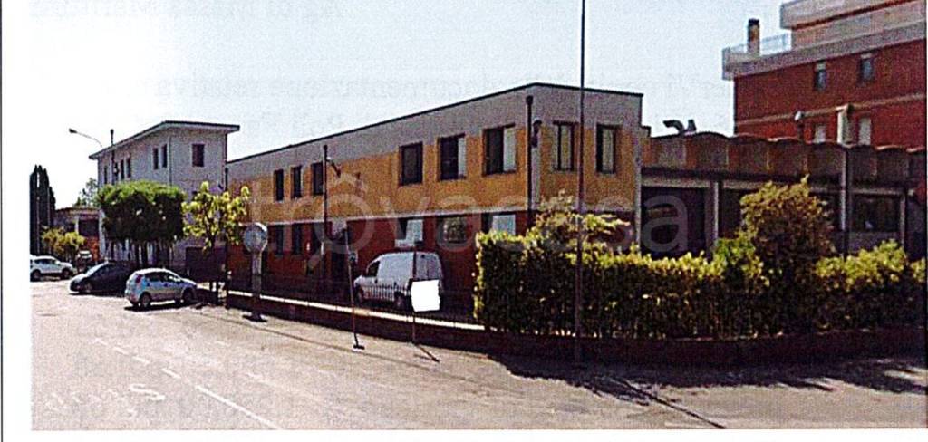 immagine annuncio 4 di 12