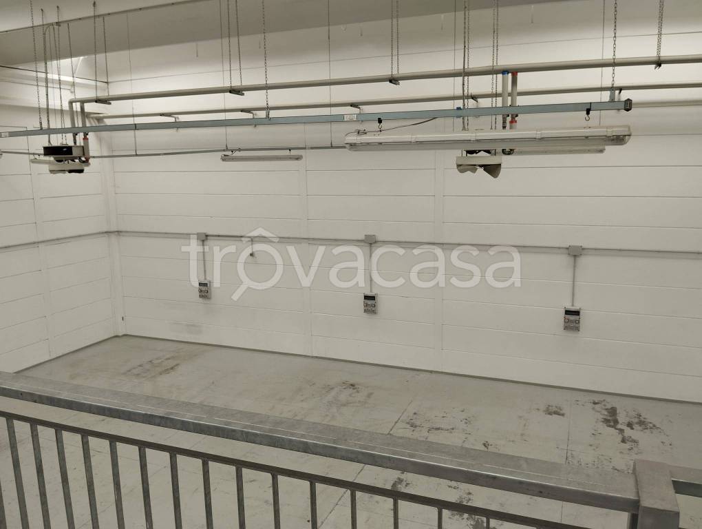 immagine annuncio 11 di 14