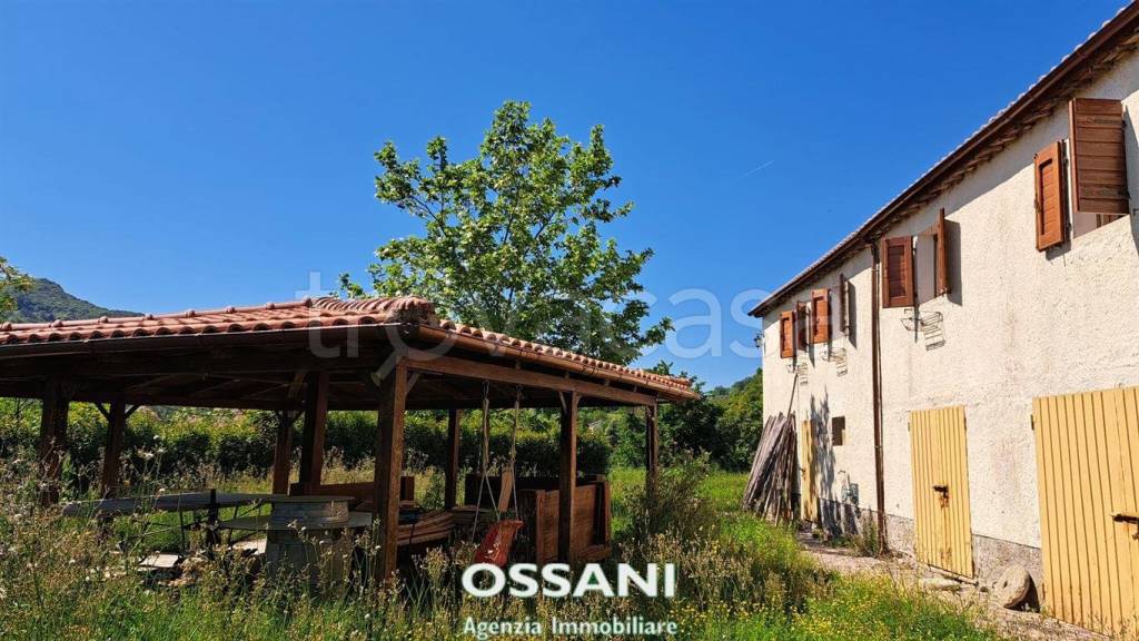 immagine annuncio 9 di 12