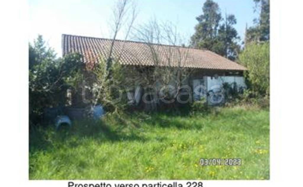 immagine annuncio 4 di 14