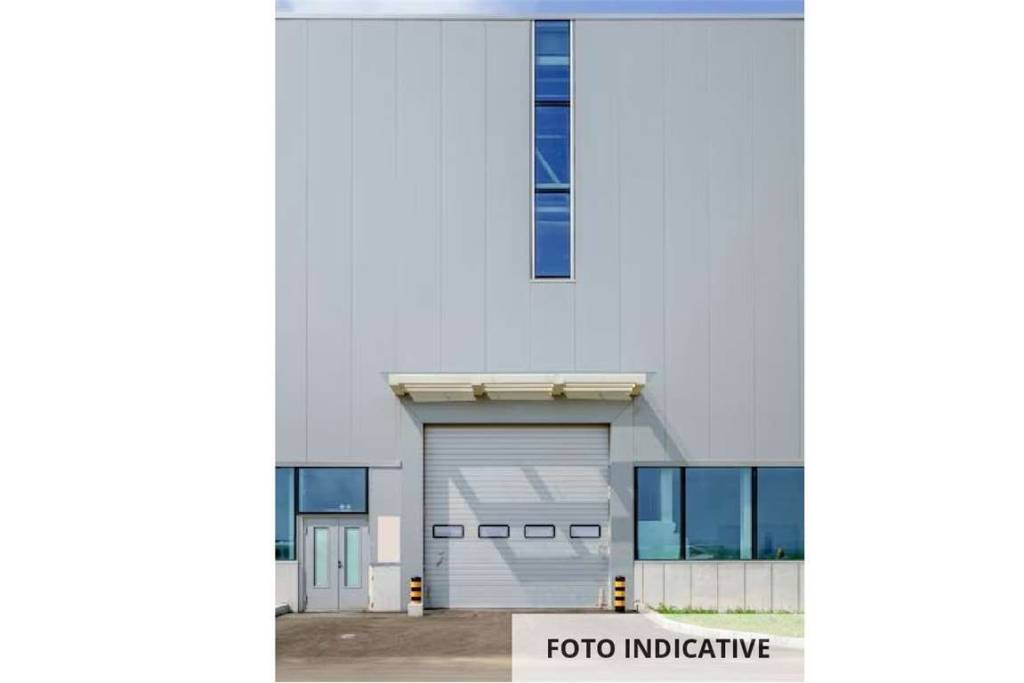 immagine annuncio 9 di 11