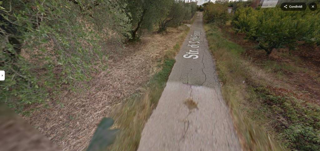 immagine annuncio 7 di 9