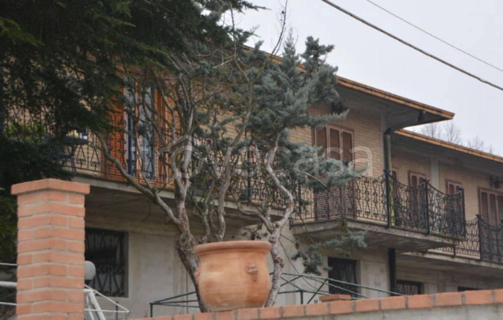 immagine annuncio 8 di 11