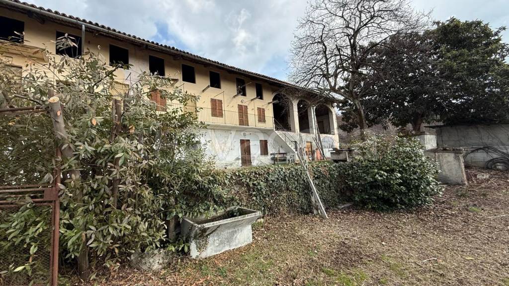 immagine annuncio 3 di 14