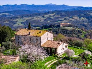 Casale in vendita a scansano località case del merlino