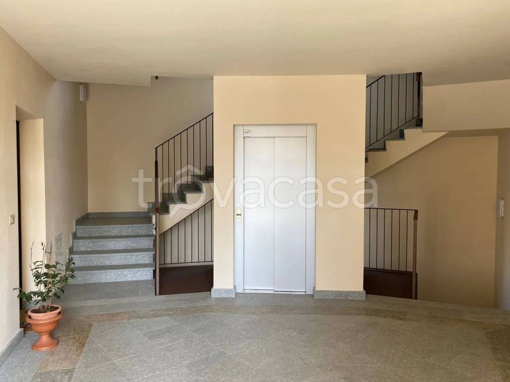 immagine annuncio 9 di 14