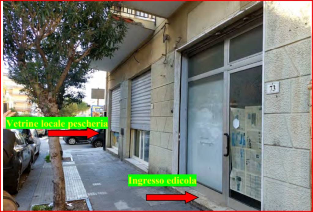 immagine annuncio 3 di 11