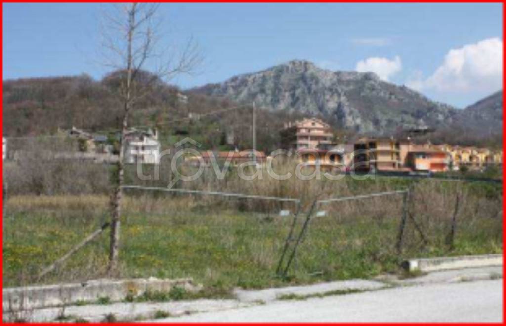 immagine annuncio 4 di 11