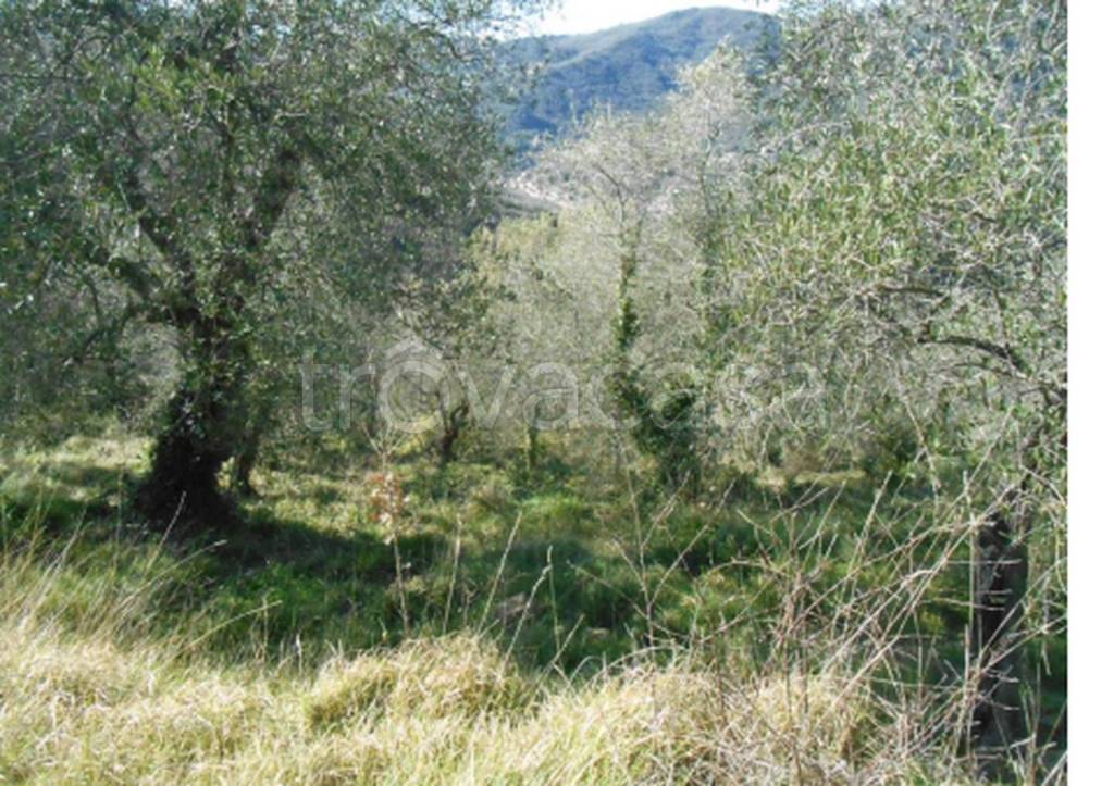 immagine annuncio 6 di 8