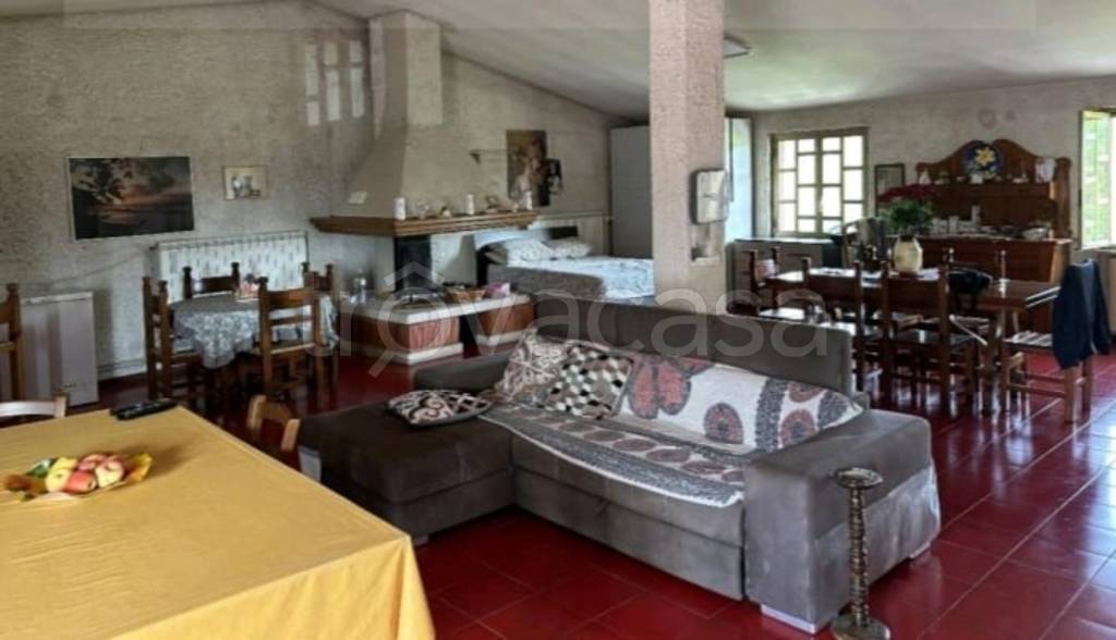 immagine annuncio 5 di 14
