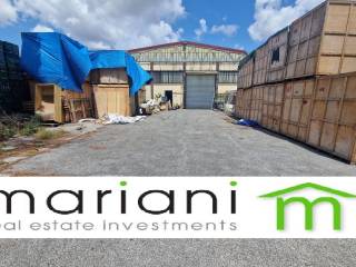 Capannone in affitto a roma 24