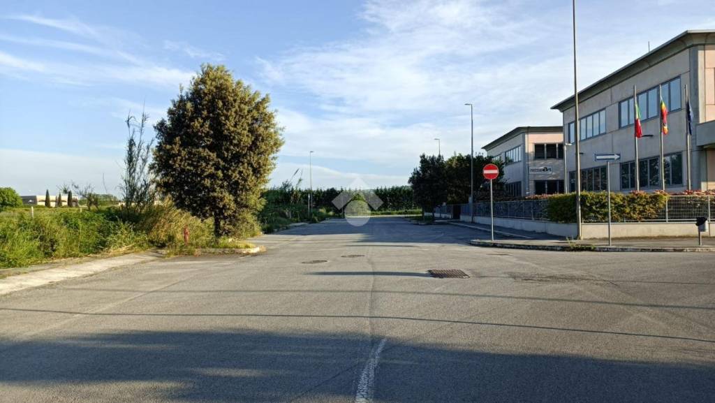 immagine annuncio 9 di 11