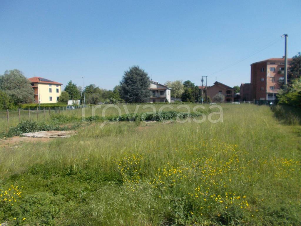 immagine annuncio 3 di 12