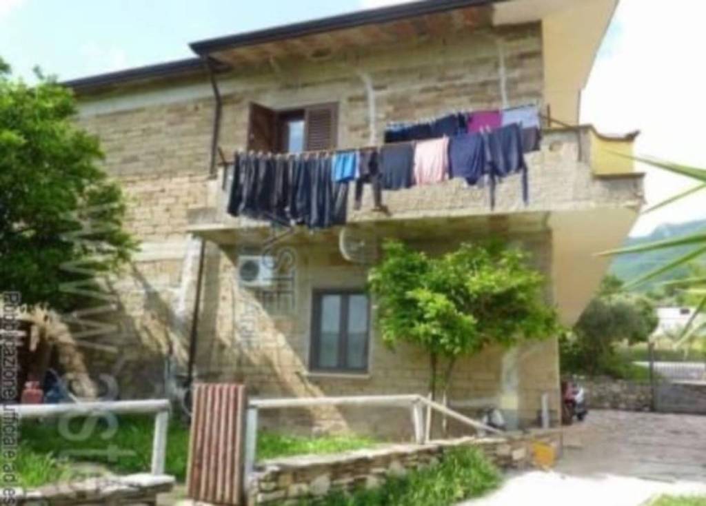 immagine annuncio 7 di 14