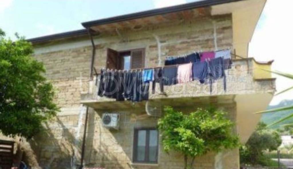 immagine annuncio 9 di 14