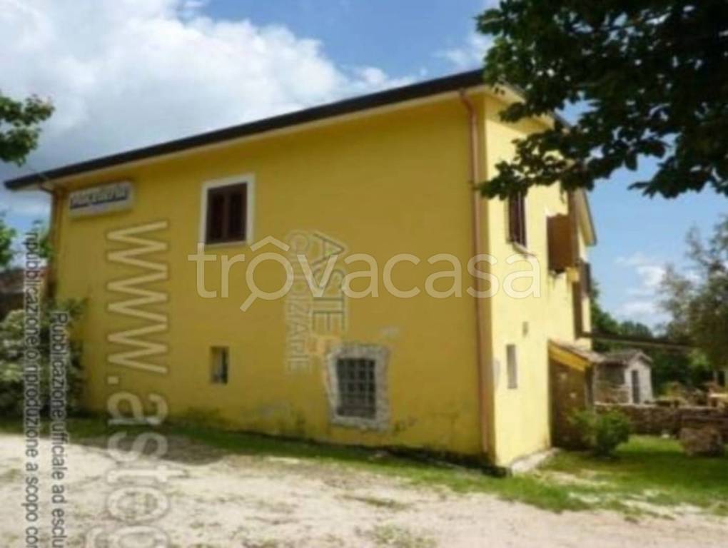 immagine annuncio 10 di 14