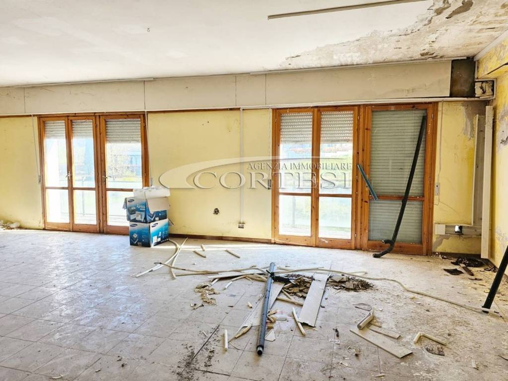 immagine annuncio 4 di 6