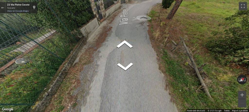 immagine annuncio 12 di 14
