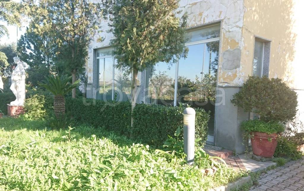 immagine annuncio 9 di 12