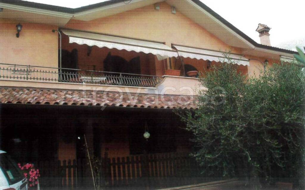 immagine annuncio 2 di 13