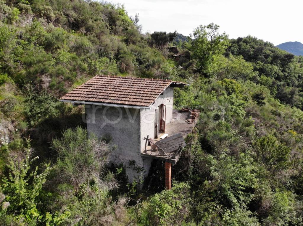immagine annuncio 3 di 14