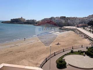Appartamento in vendita a vieste viale marinai d'italia, snc
