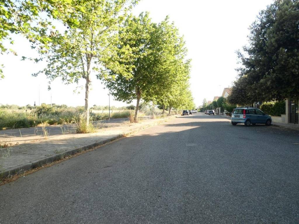 immagine annuncio 8 di 13