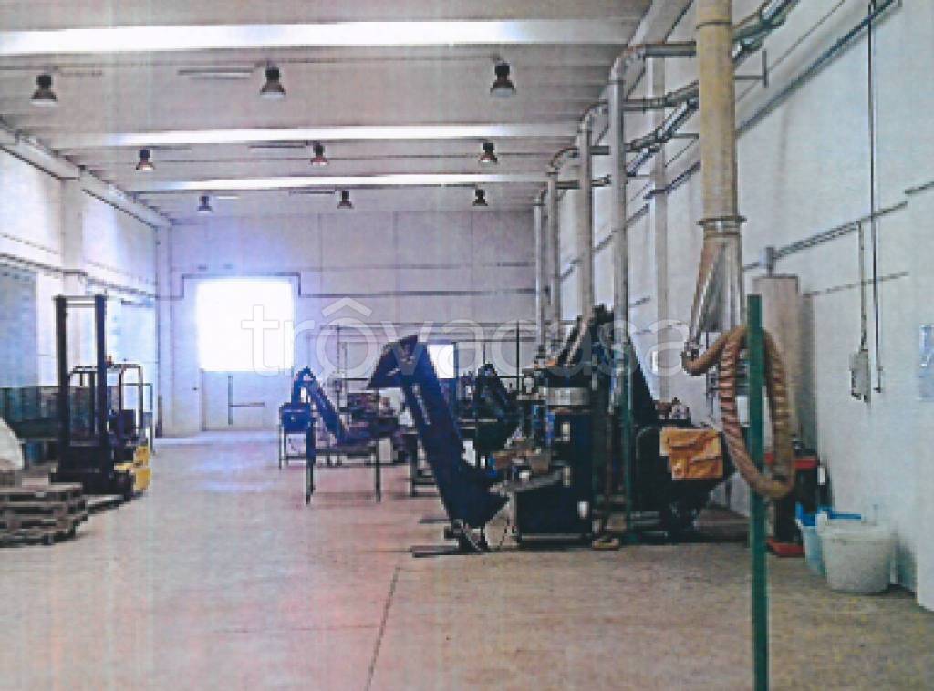 immagine annuncio 8 di 11