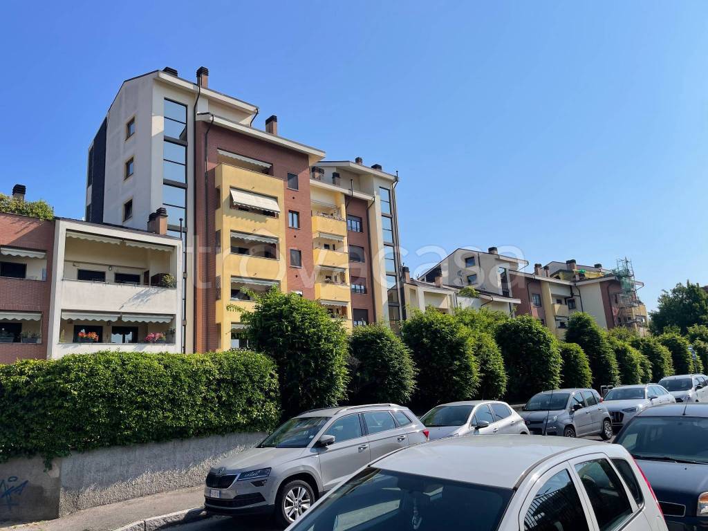immagine annuncio 2 di 15