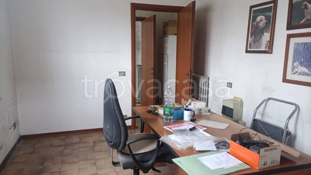 immagine annuncio 9 di 12